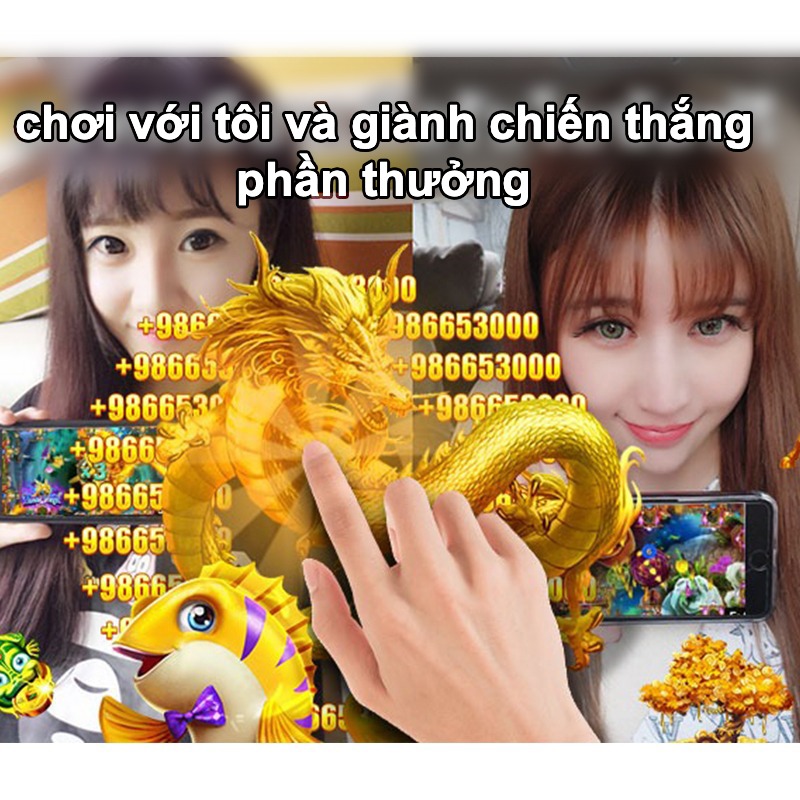 lixi88